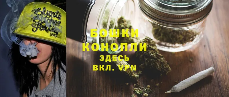 Бошки Шишки OG Kush  Голицыно 